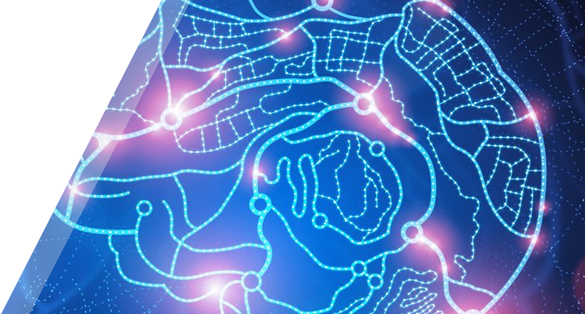 Brain & Spinal Cord Injury Support